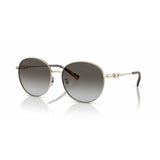 Ladies' Sunglasses Michael Kors ALPINE MK 1119-5