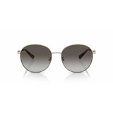 Ladies' Sunglasses Michael Kors ALPINE MK 1119-2