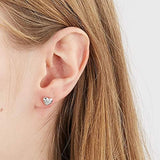 Ladies' Earrings Michael Kors LOVE Sterling silver 925-3
