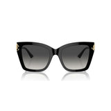 Ladies' Sunglasses Jimmy Choo JC 5012-1