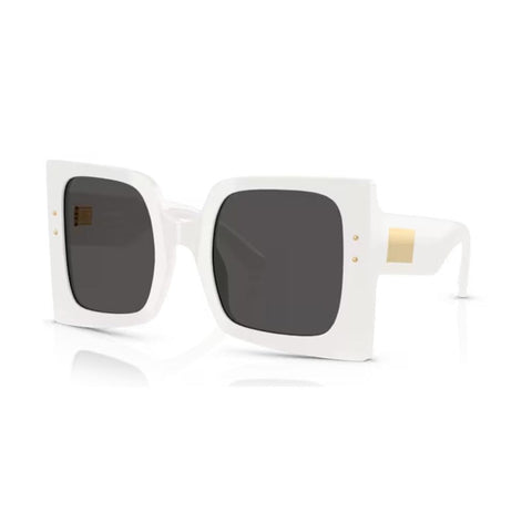 Ladies' Sunglasses Dolce & Gabbana DG 4490-0
