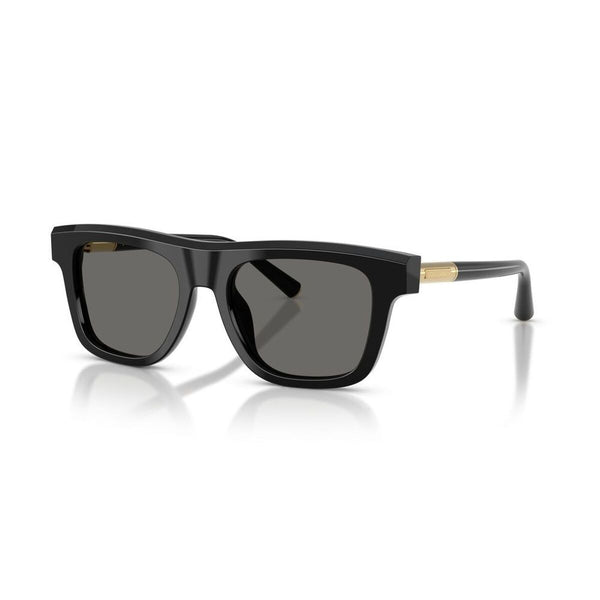 Men's Sunglasses Dolce & Gabbana DG 4521-0
