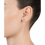 Ladies' Earrings Viceroy 61073E100-36-1