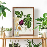 AERY BOTANICAL 200ML REED DIFFUSER FIG LEAF