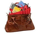 BAG CADDY Handbag Organiser Small
